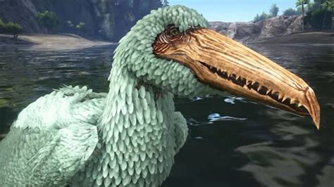 ark what does pelagornis eat|pelagornis spawn lost island.